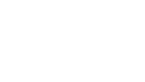 Optik Zellner