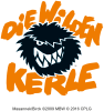 Die Wilden Kerle Brillen